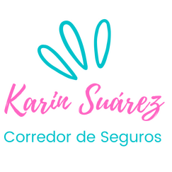 Karin Seguros